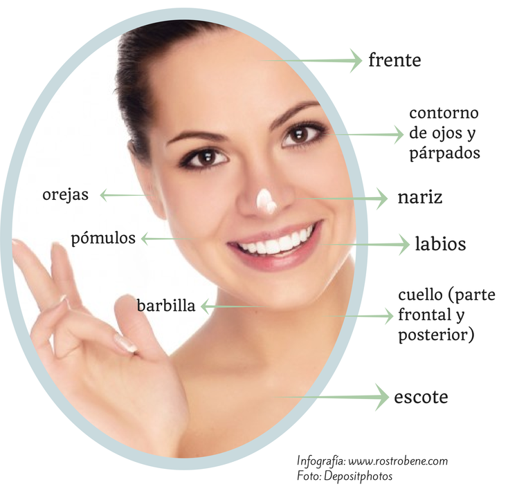 Nombres de partes del rostro - Imagui